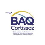 Aeropuerto Internacional Ernesto Cortissoz